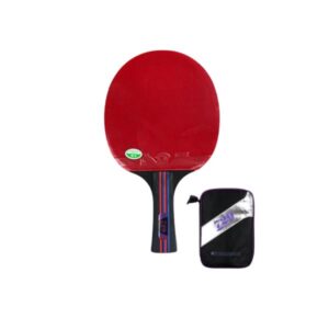 RAQUETAS DE PING-PONG